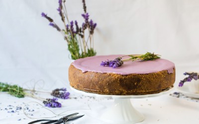 White chocolate and lavender cheesecake